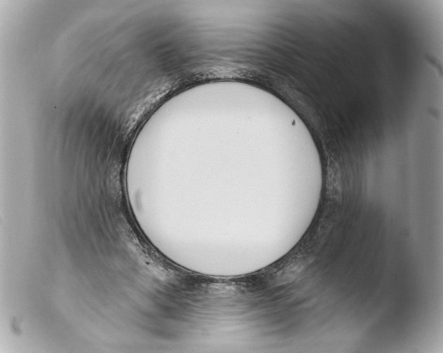 X0000103490394200810101028