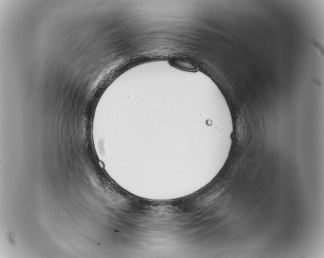 X0000103490396200810101028