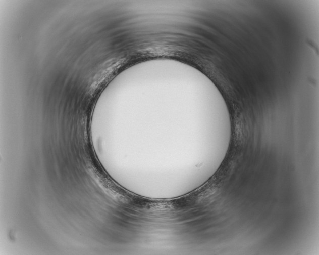 X0000103490398200810101028
