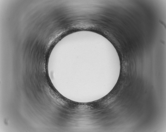 X0000103490399200810101028