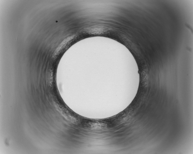 X0000103490400200810101028