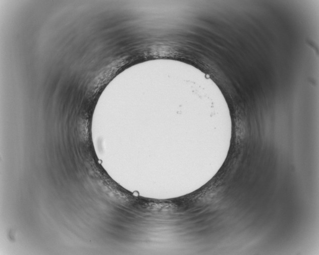 X0000103490401200810101028