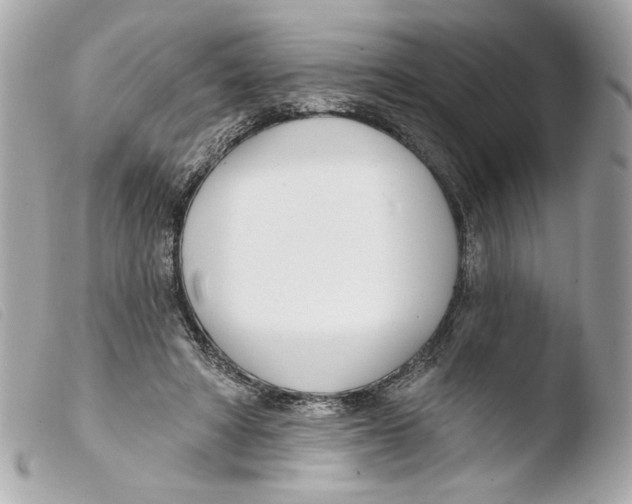 X0000103490402200810101028