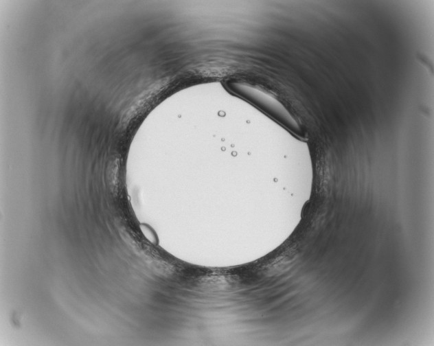 X0000103490404200810101027