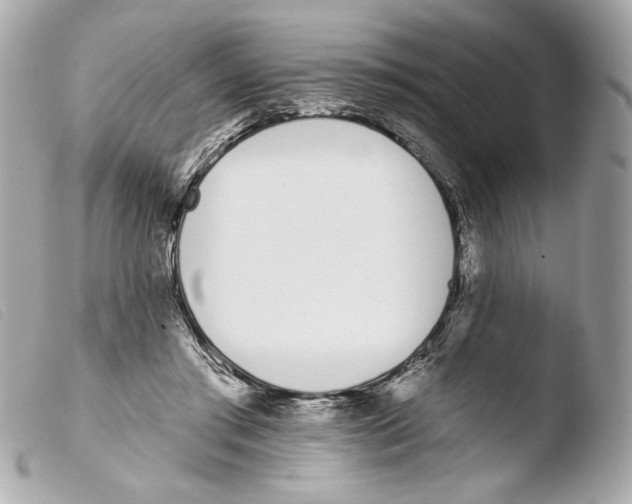 X0000103490405200810101027
