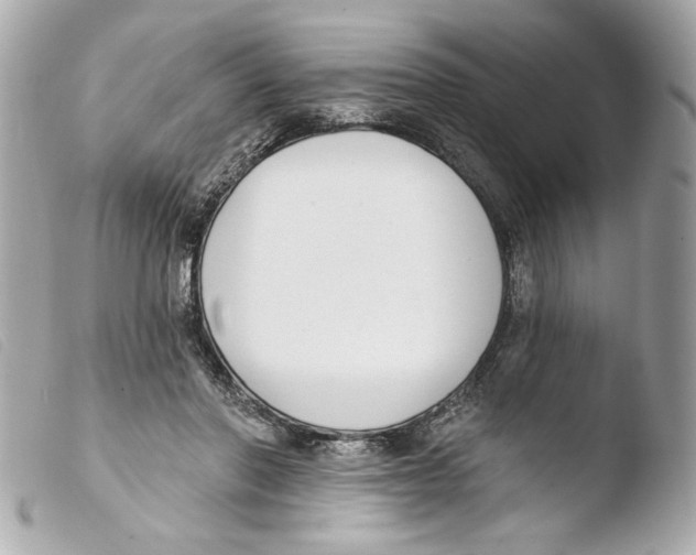 X0000103490406200810101027