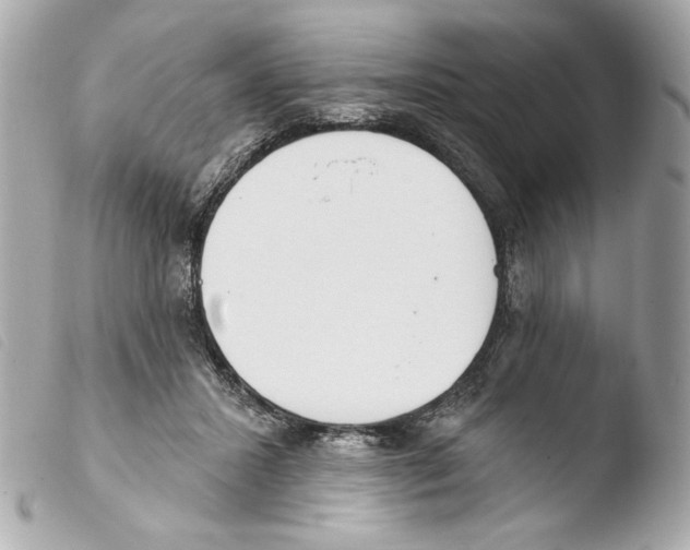 X0000103490407200810101027