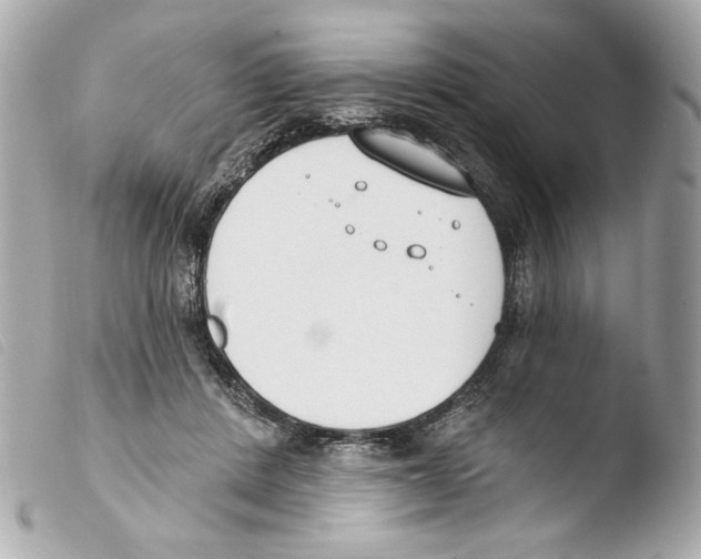 X0000103490408200810101027