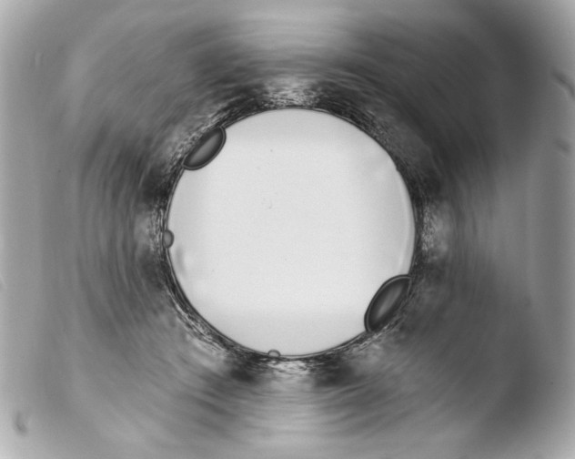 X0000103490409200810101027
