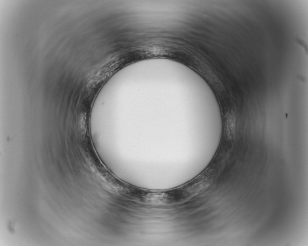 X0000103490410200810101027