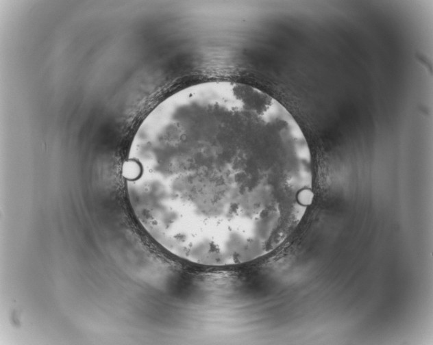 X0000103490411200810101027