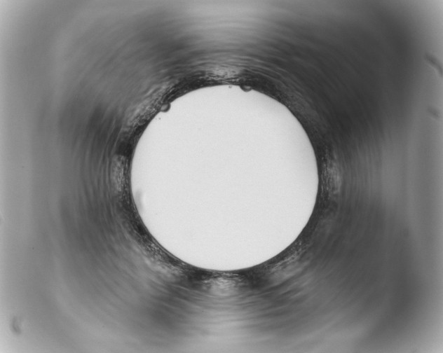 X0000103490412200810101027