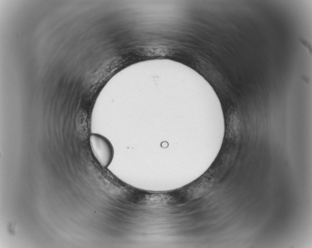 X0000103490414200810101027