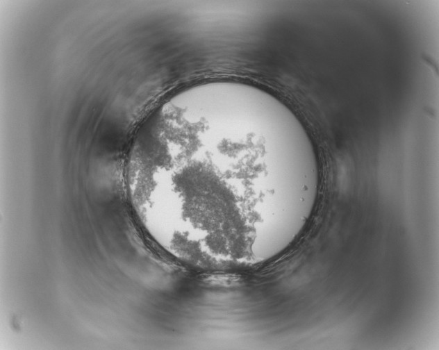 X0000103490415200810101027