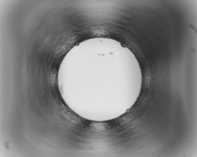 X0000103490417200810101027