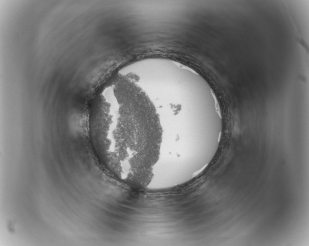 X0000103490419200810101027