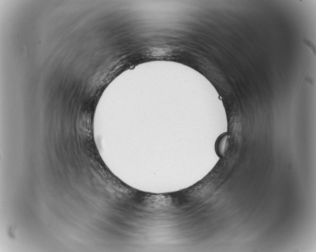 X0000103490421200810101027