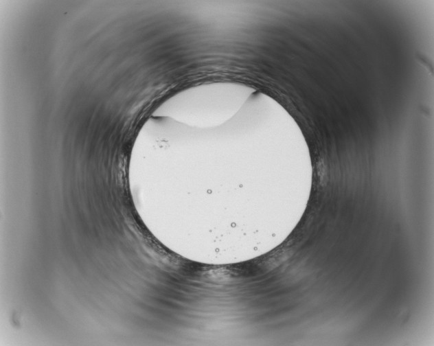 X0000103490423200810101027
