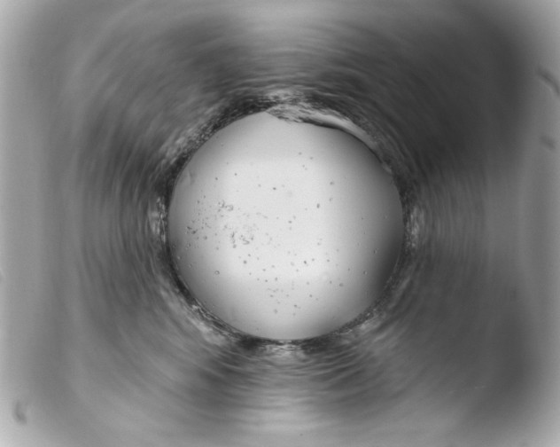 X0000103490424200810101027