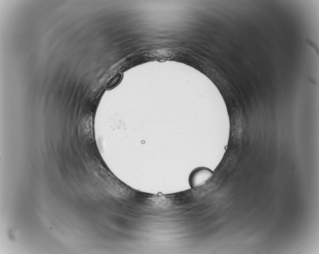 X0000103490425200810101027