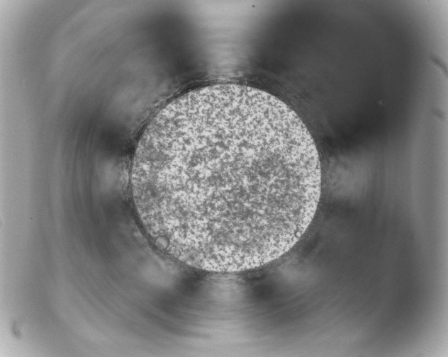 X0000103490427200810101027