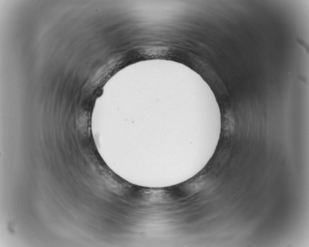 X0000103490428200810101027