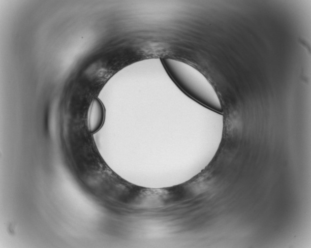 X0000103490429200810101027
