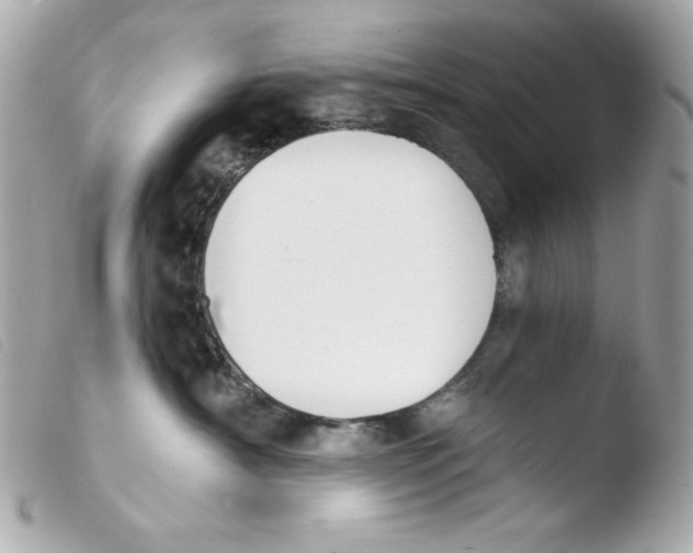 X0000103490430200810101027