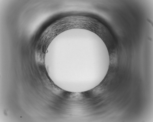 X0000103490431200810101027