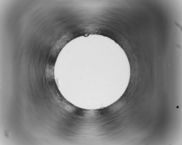 X0000103490432200810101027