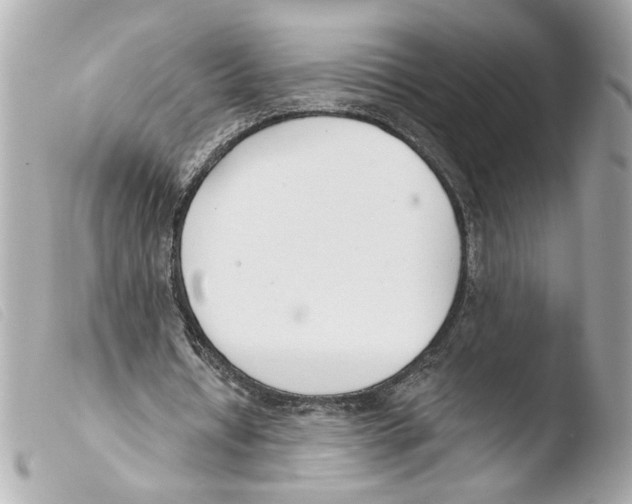 X0000103490434200810101026