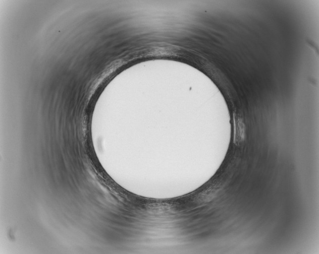 X0000103490435200810101026