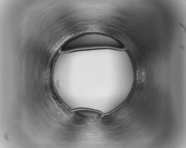 X0000103490436200810101026