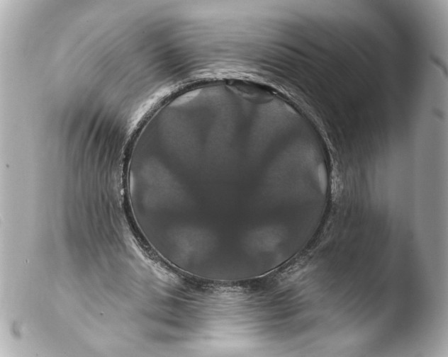 X0000103490438200810101026