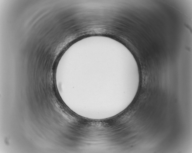 X0000103490439200810101026