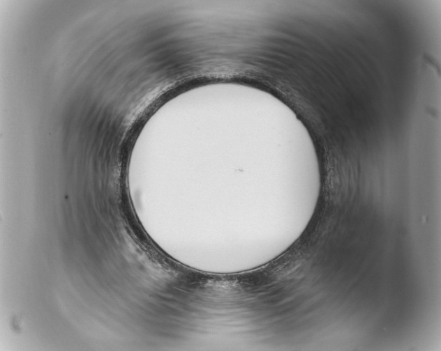 X0000103490440200810101026