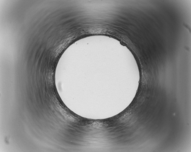 X0000103490441200810101026
