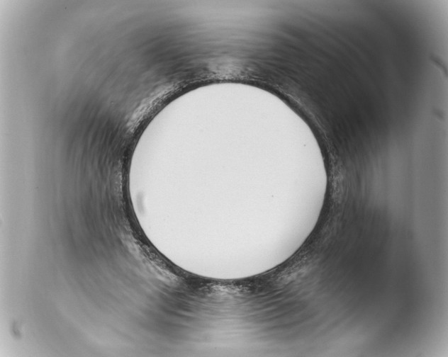 X0000103490442200810101026