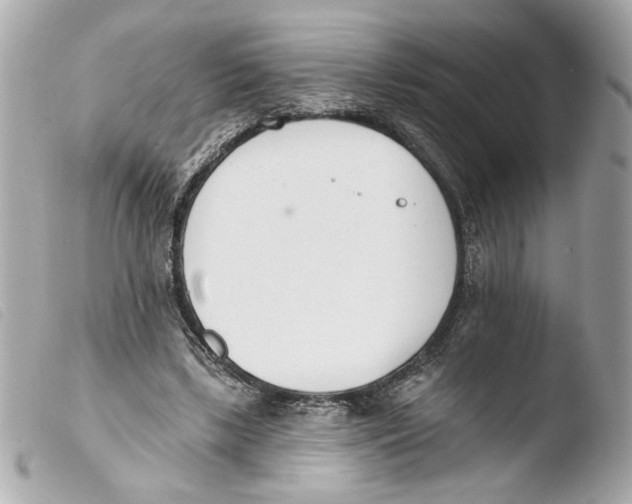 X0000103490443200810101026