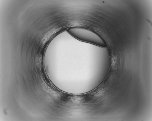 X0000103490444200810101026