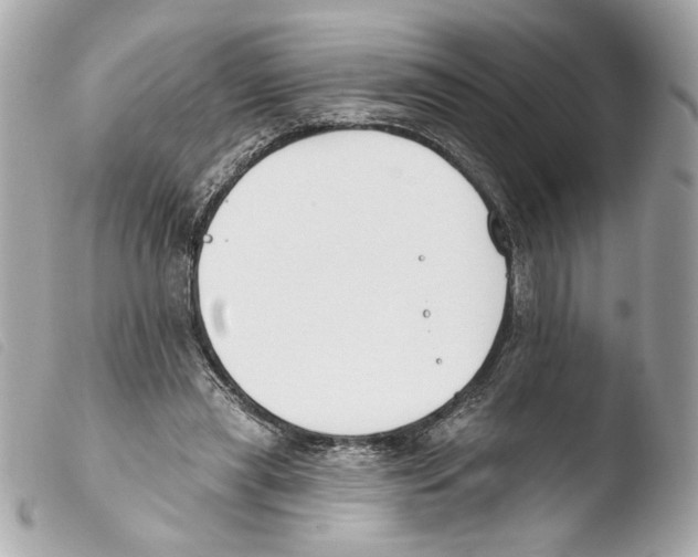 X0000103490445200810101027