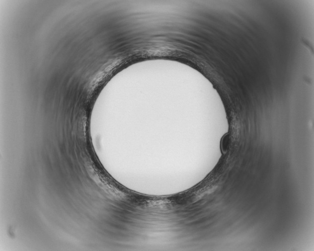 X0000103490446200810101027