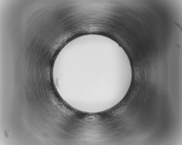 X0000103490447200810101027