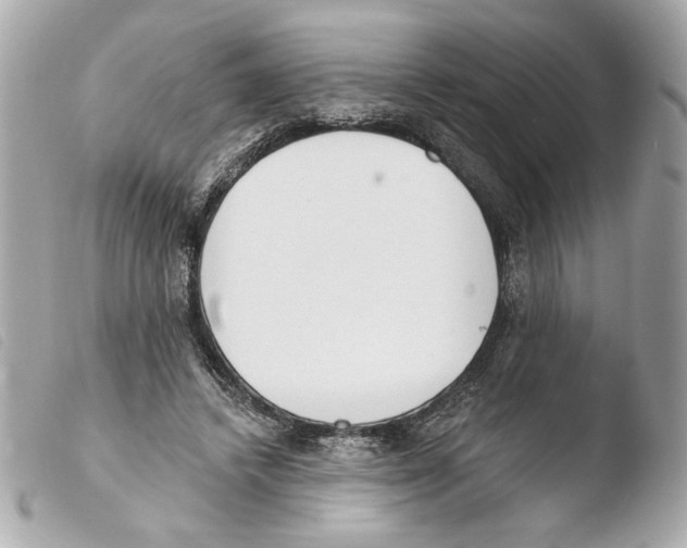 X0000103490448200810101027