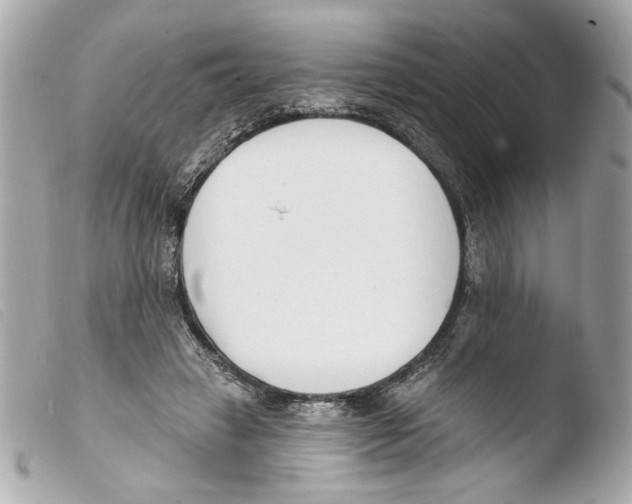 X0000103490449200810101027