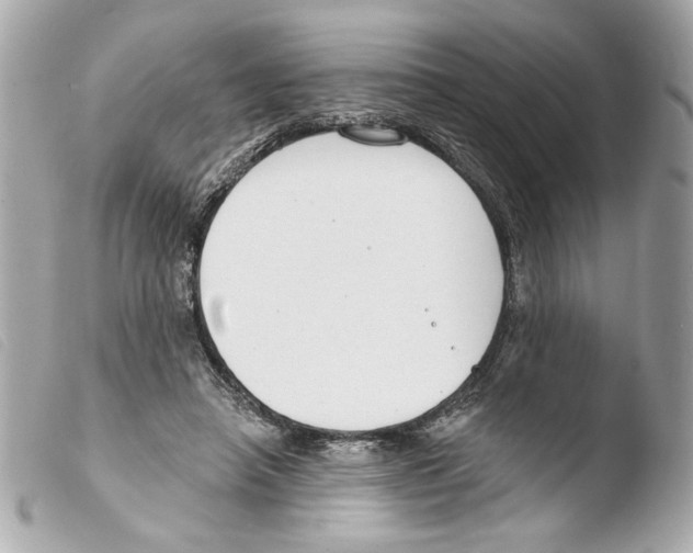 X0000103490450200810101027