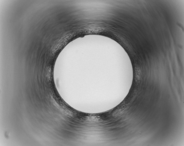 X0000103490451200810101027