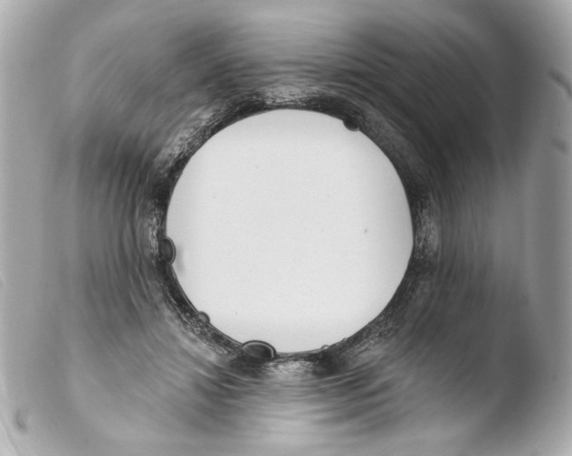 X0000103490452200810101027