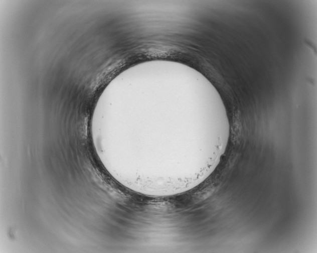 X0000103490454200810101027