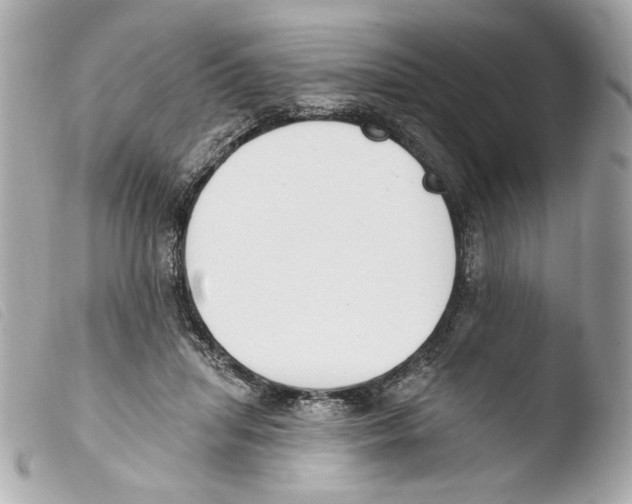 X0000103490455200810101027